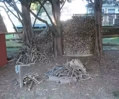 seasoned mixed firewood