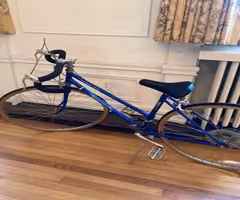 Panasonic 500 Sport Bicycle