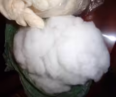 Cotton Batting & Wool Fleece