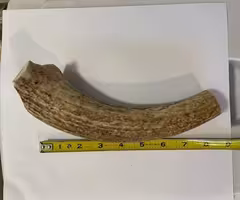 Elk Horn knife handle