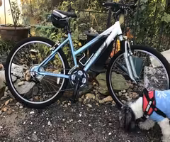 26 Fuji Versa Mountain Bike