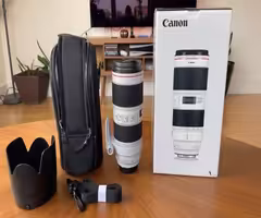 Canon EF 70-700mm F2.8 L IS III USM Lens