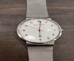 Skagen watch