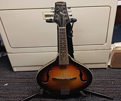 Left Handed Mandolin