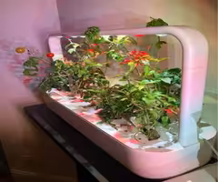 Click & Grow Smartgarden