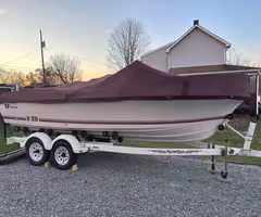 1990 wellcraft V20
