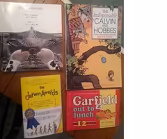 Comic Strip Books