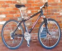Performance M201 Mountain Bike